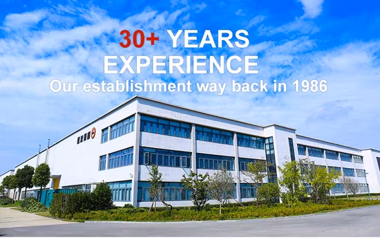 Nouveau paquet neutre Grh approuvé par la CCC/déneigement de pompe à double engrenage pour palette en bois